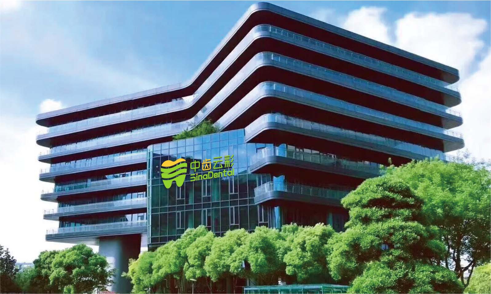 中齿实力